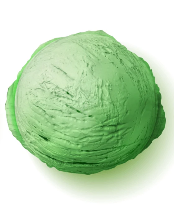 A scoop of Mint Chocolate Chip