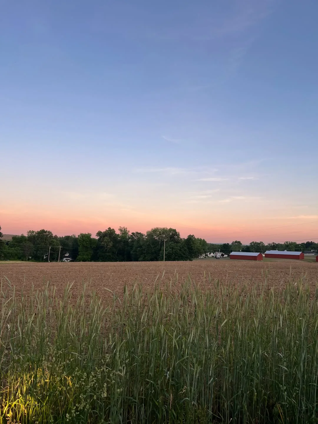 Sunset over the fields from the top of Powder Hill